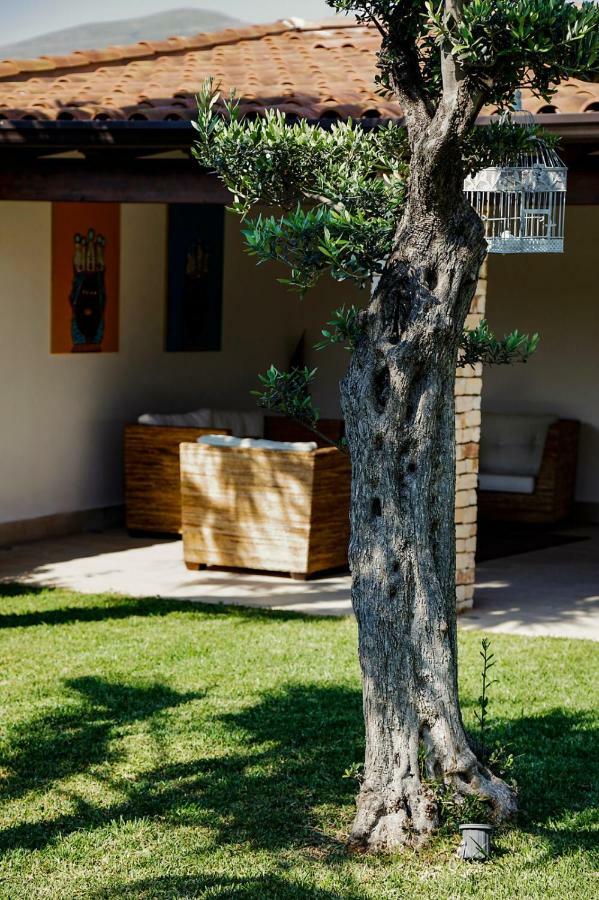 Villa Araucaria Partinico Exterior photo